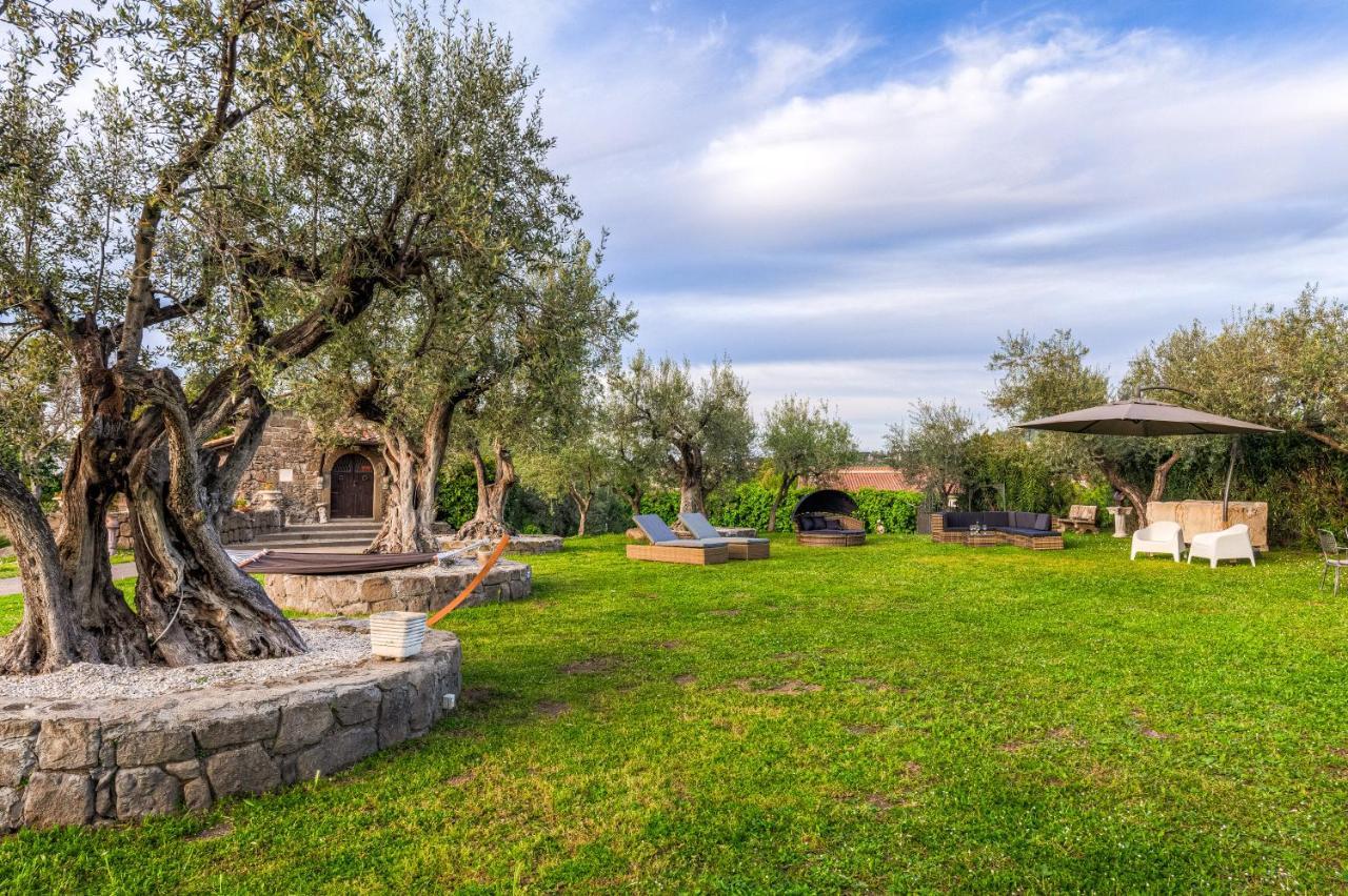 Roman Oasis Villa Ciampino Eksteriør bilde